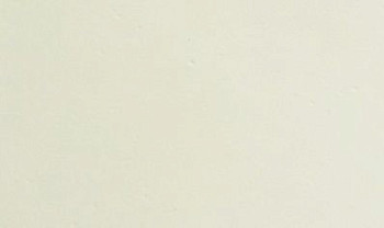 Линолеум Bogger StartExpo StartExpo White фото 1 | FLOORDEALER